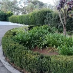 IMG20260621163240-d